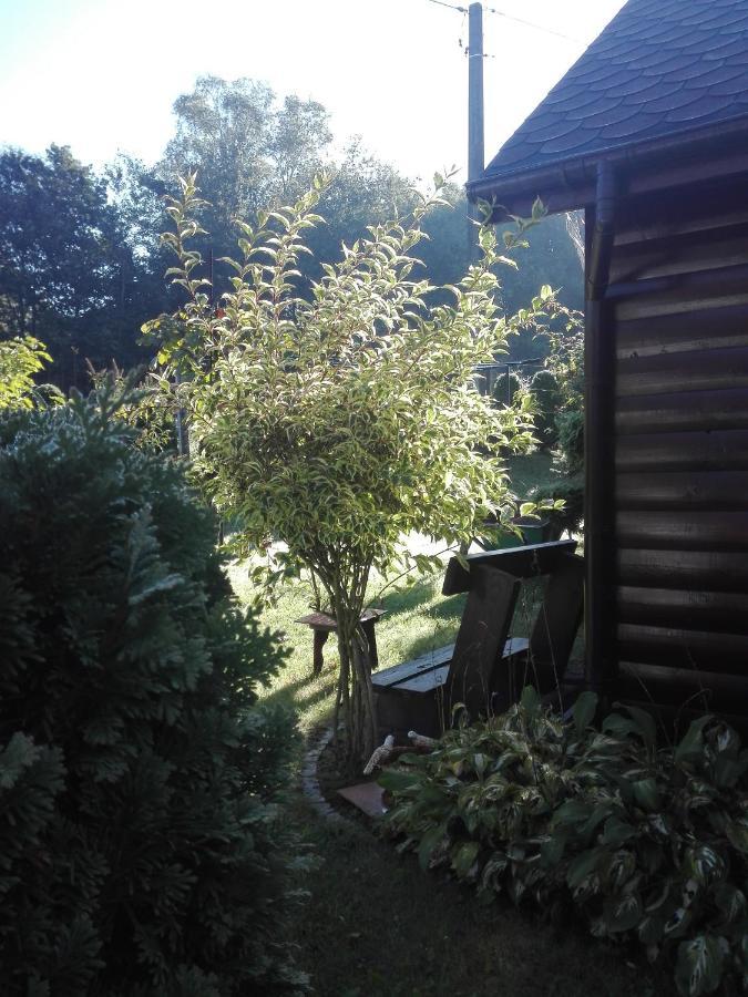 Apartament Leszczynowa 7 Blisko Zatora Spytkowice  Εξωτερικό φωτογραφία