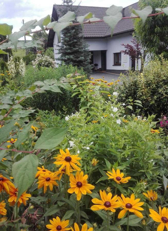 Apartament Leszczynowa 7 Blisko Zatora Spytkowice  Εξωτερικό φωτογραφία